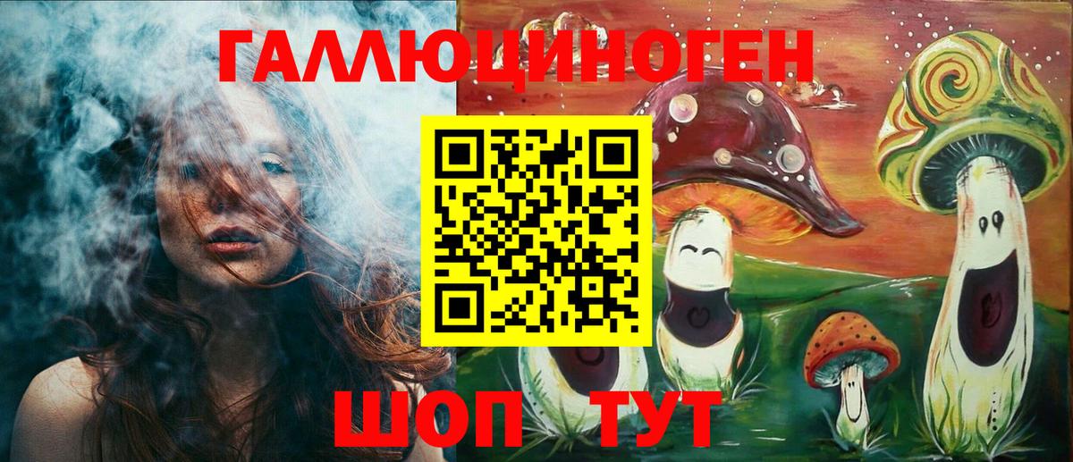 Псилоцибиновые грибы Psilocybe Октябрьский